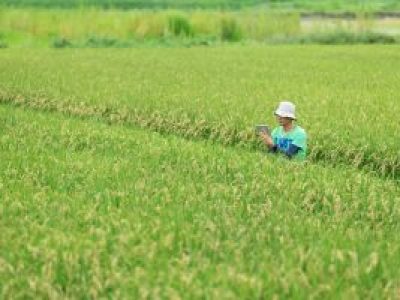 北海道農商工連携ファンド　平成３０年度２次募集のお知らせ（H30.07.02）